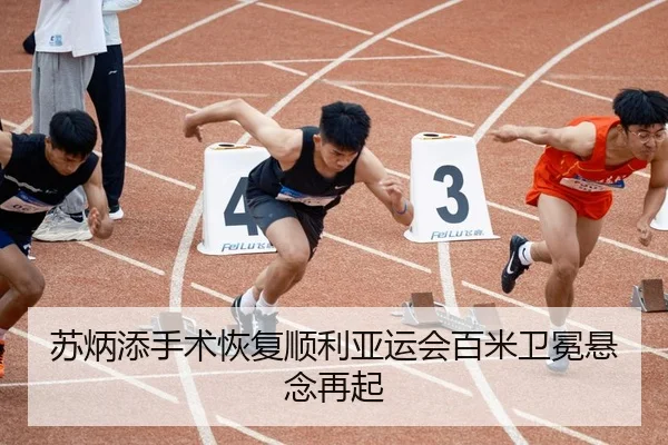 su-bing-tian-shou-shu-hui-fu-shun-li-ya-yun-hui-bai-mi-wei-mian-xuan-nian-zai-qi-2-332.jpg