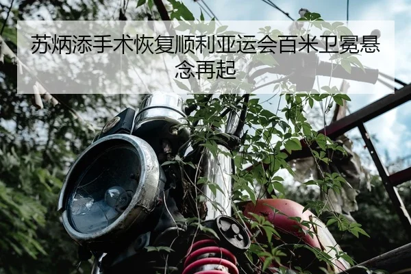 su-bing-tian-shou-shu-hui-fu-shun-li-ya-yun-hui-bai-mi-wei-mian-xuan-nian-zai-qi-3-627.jpg