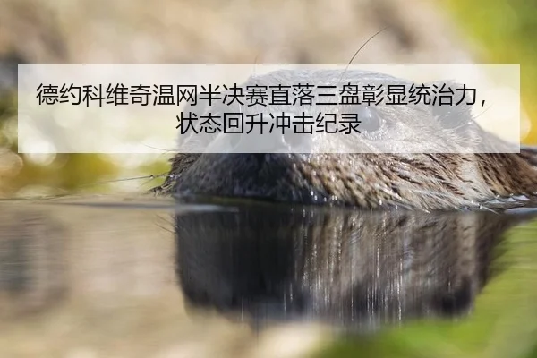 de-yue-ke-wei-qi-wen-wang-ban-jue-sai-zhi-luo-san-pan-zhang-xian-tong-zhi-li-zhuang-tai-hui-sheng-chong-ji-ji-lu-2-577.jpg
