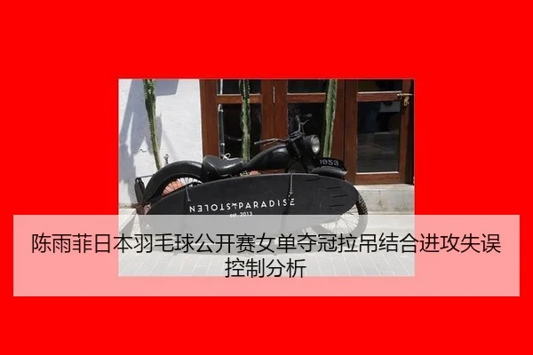 陈雨菲日本羽毛球公开赛女单夺冠拉吊结合进攻失误控制分析